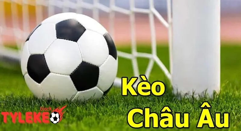 Trang chủ Tỷ lệ kèo | Tylekeo Kèo châu Âu: Dễ Dàng nhưng hấp dẫn