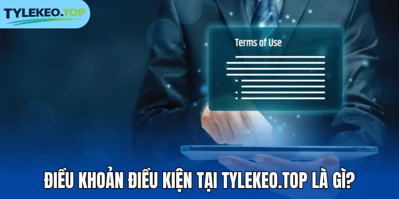 Điều khoản điều kiện tại tylekeo.black là gì?